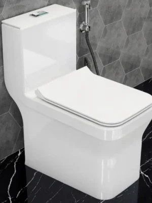 one-piece-toilet-sheet-500x500